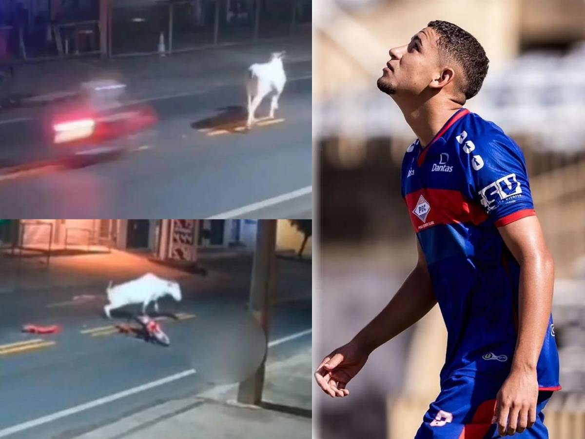Futbolista muere en terrible accidente con una vaca: venía de festejar el cumpleaños de su papá