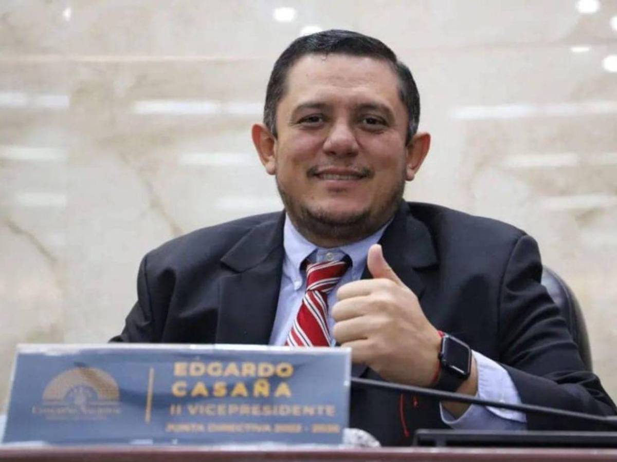 Los diputados veteranos que repiten en el Congreso Nacional 2026-2030