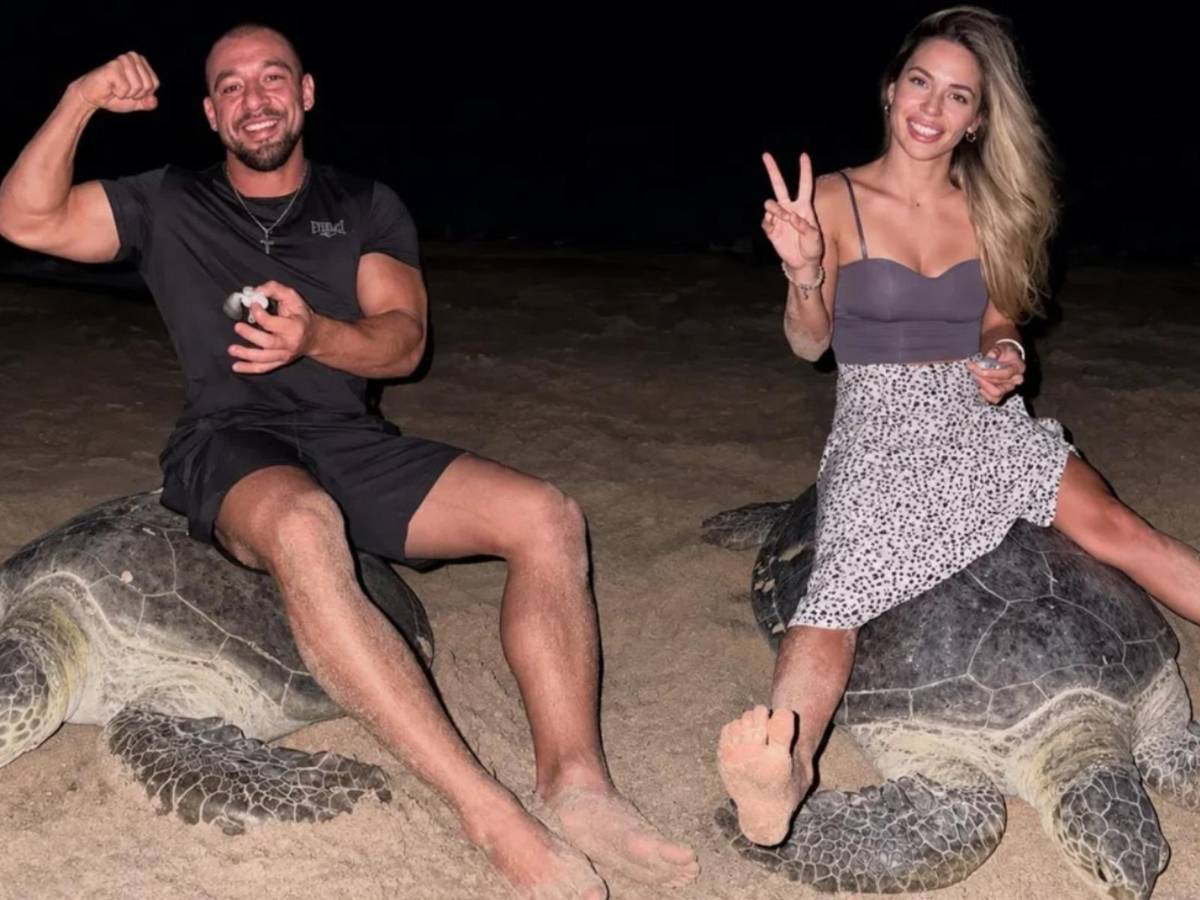 Influencer causa indignación al montar una tortuga marina que ponía huevos