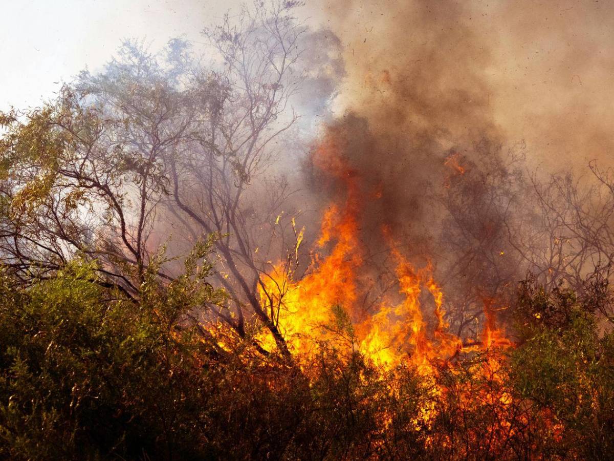Días más largos: La Tierra gira más lento desde hace más de 3,6 millones de años