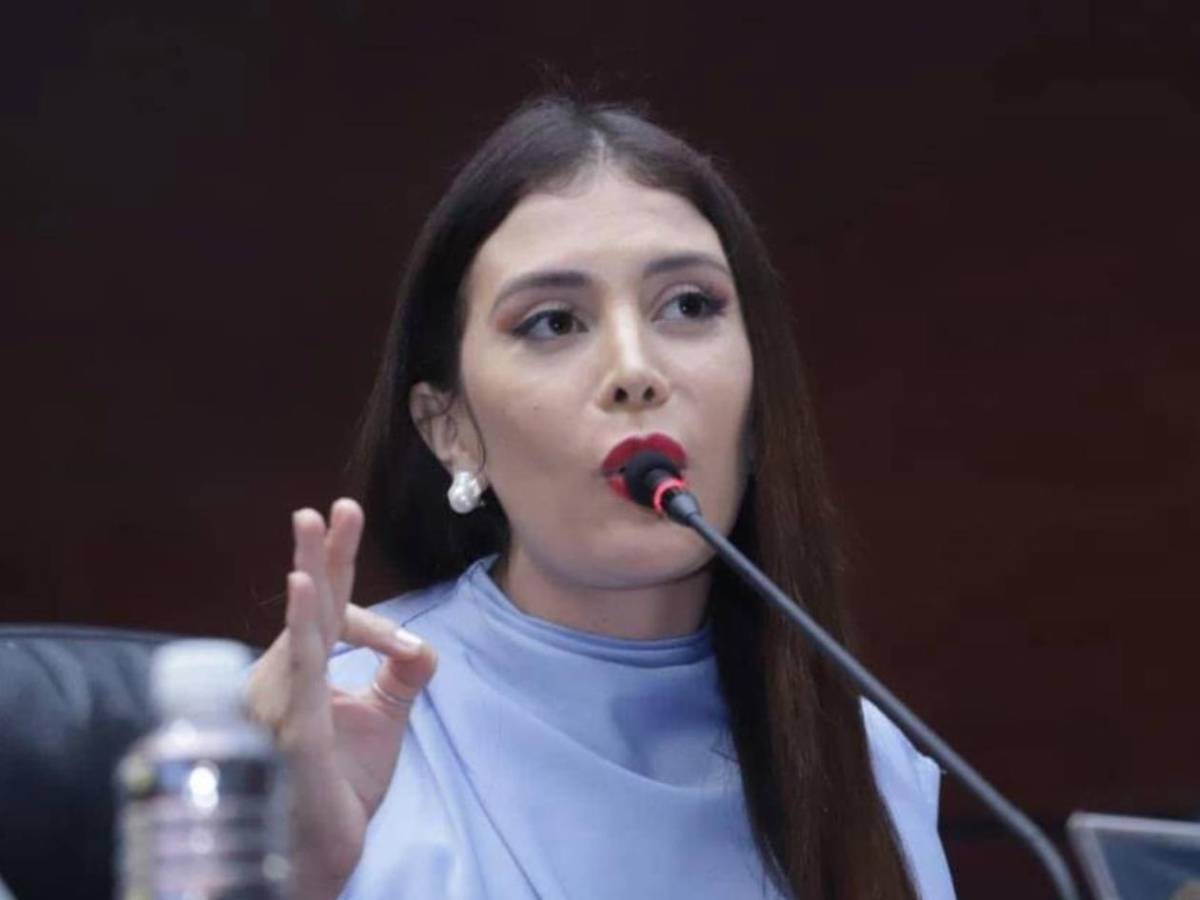 Iroshka Elvir y Enrique Reina desatan discusión por fallida instalación de la Cicih