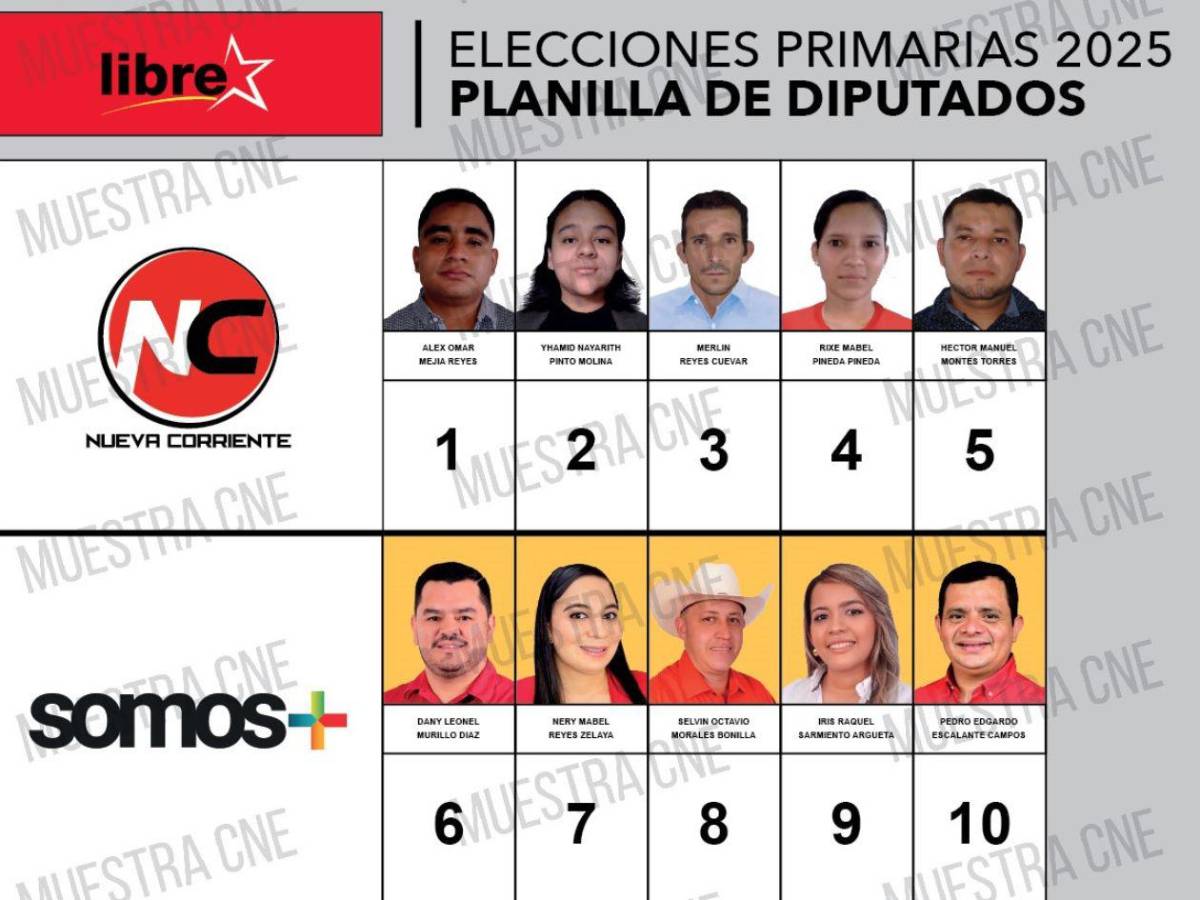 Aspiran a ser diputados del departamento de Lempira