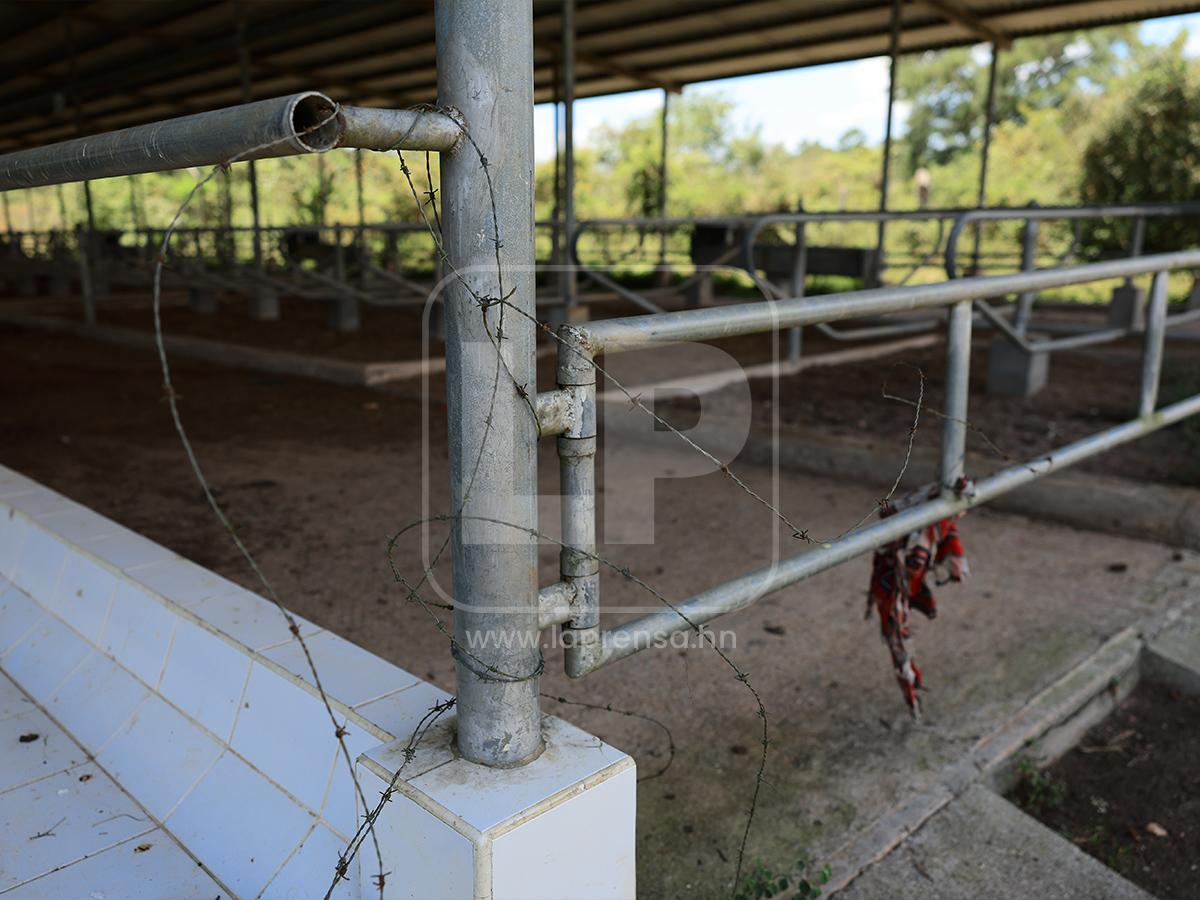 Abandono y deterioro: Así están hoy los bienes de Magdaleno Meza
