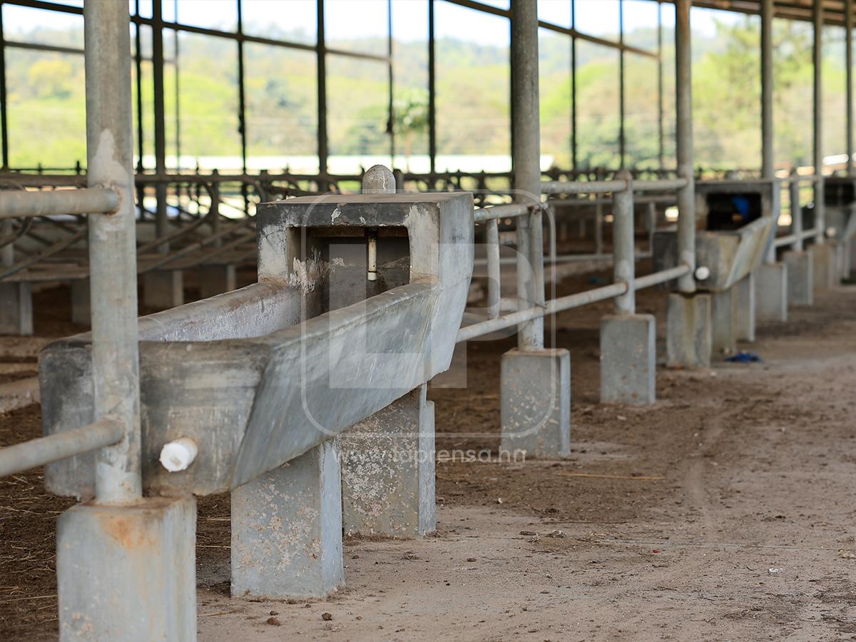 Abandono y deterioro: Así están hoy los bienes de Magdaleno Meza