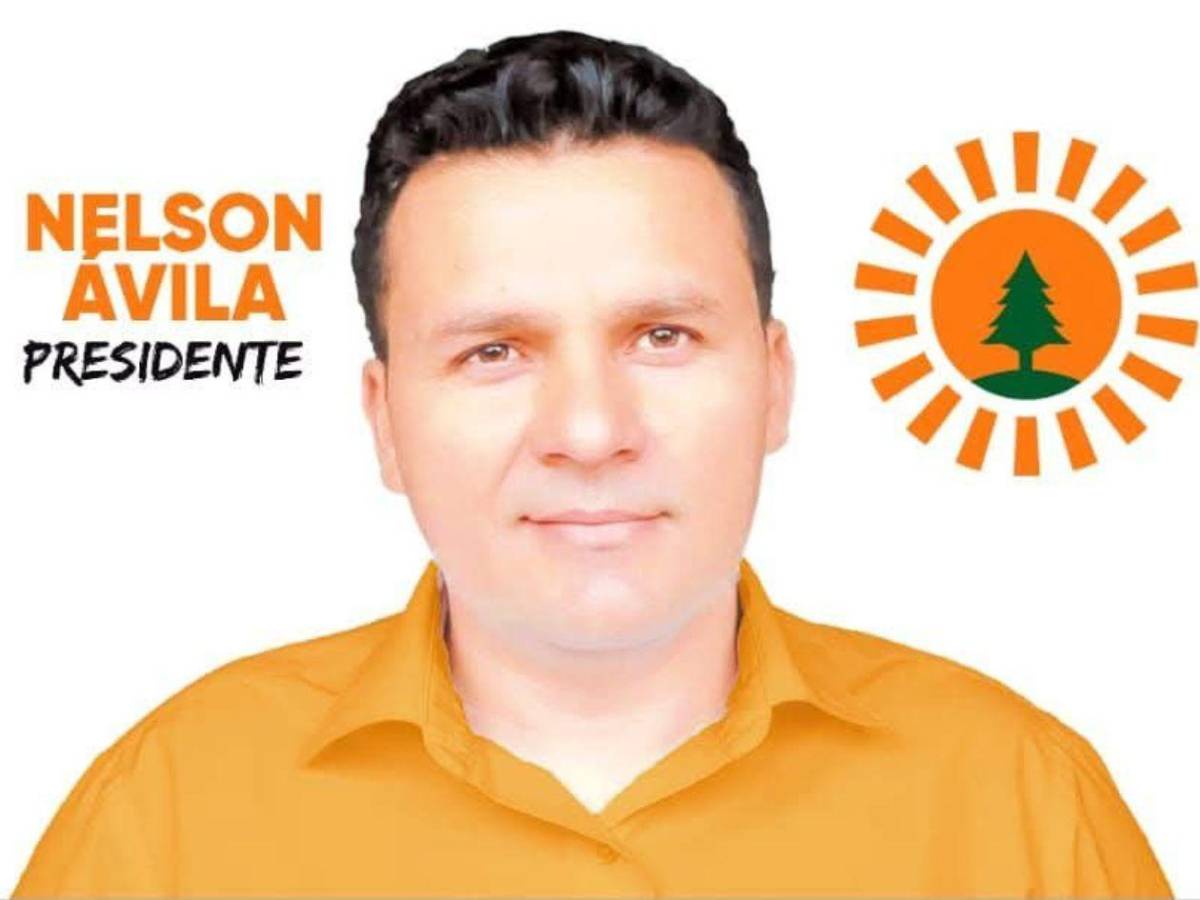 ¿Cómo logran Godofredo y Contreras entrar al Congreso Nacional con menos votos?