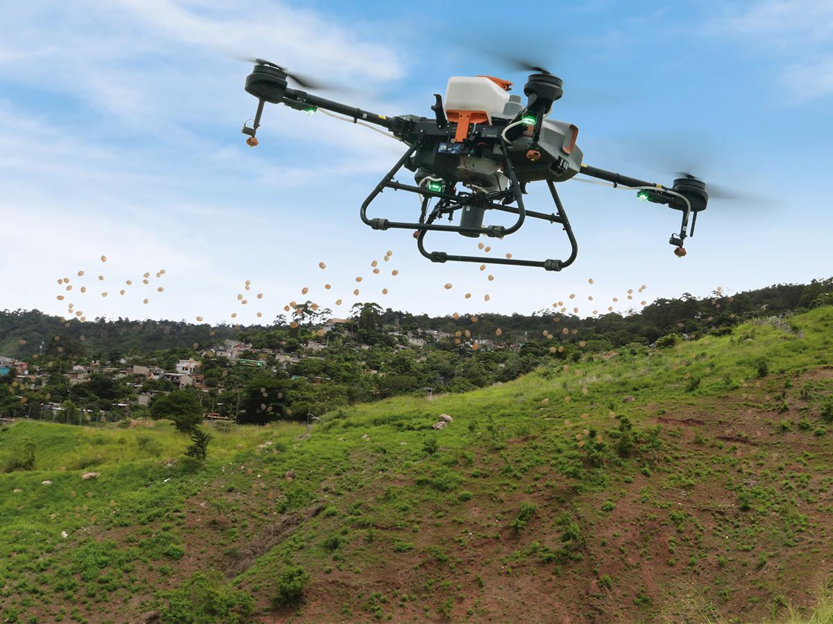 Un modelo de reforestación único, el dron se encarga de esparcir las semillas entre ellas se encuentran: Pino, Roble, Liquidámbar y Macuelizo.