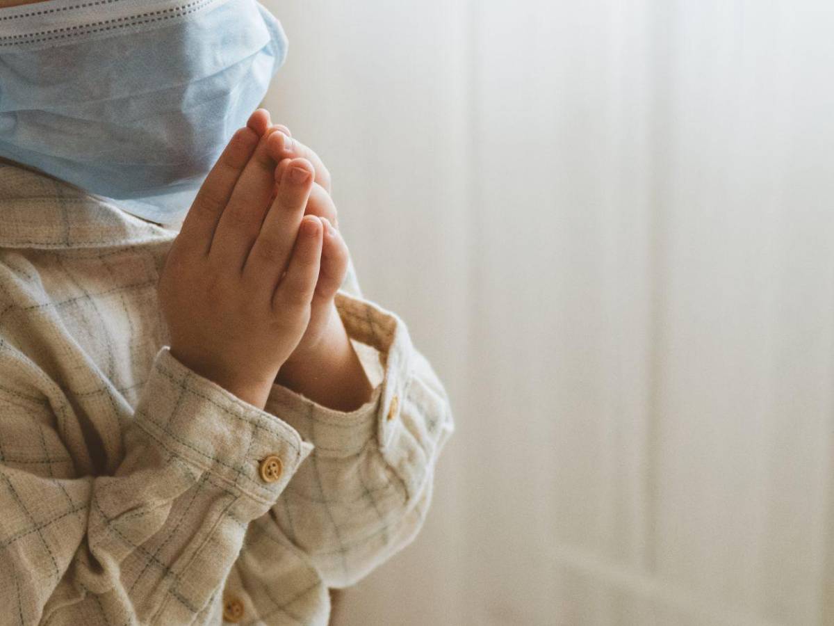 Hantavirus: aíslan a niños franceses tras contacto con un infectado