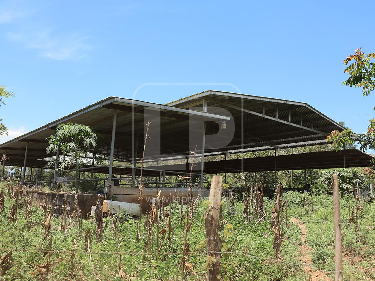 Abandono y deterioro: Así están hoy los bienes de Magdaleno Meza