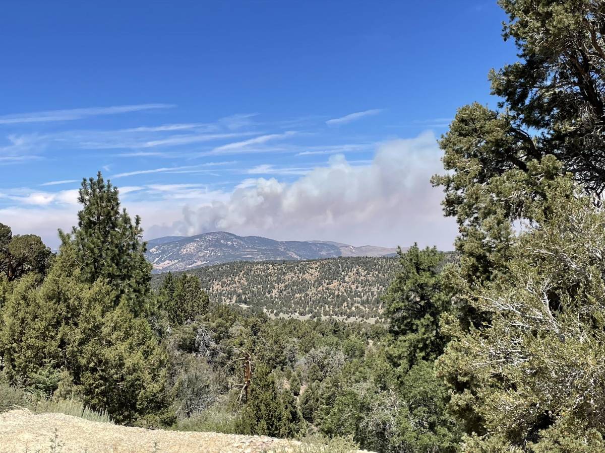 Dos incendios forestales avanzan en el sur de California