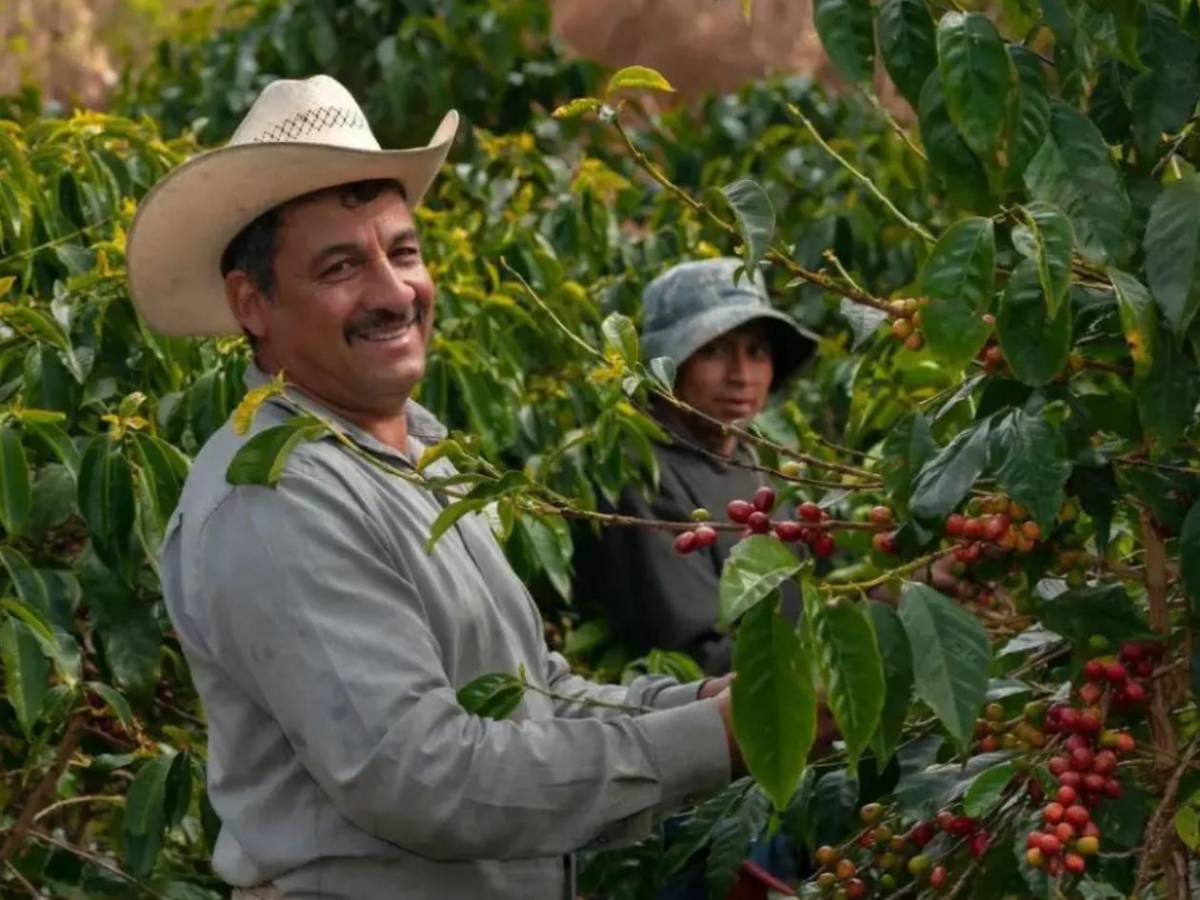 Ter Stegen y Falcao se unen para invertir con peculiar negocio en Honduras