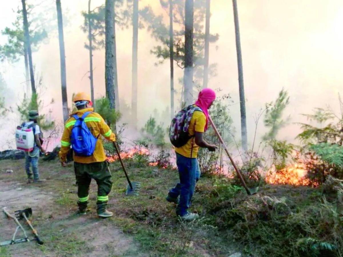 Crisis ambiental: más de 120 incendios afectan a Honduras en lo que va de 2026