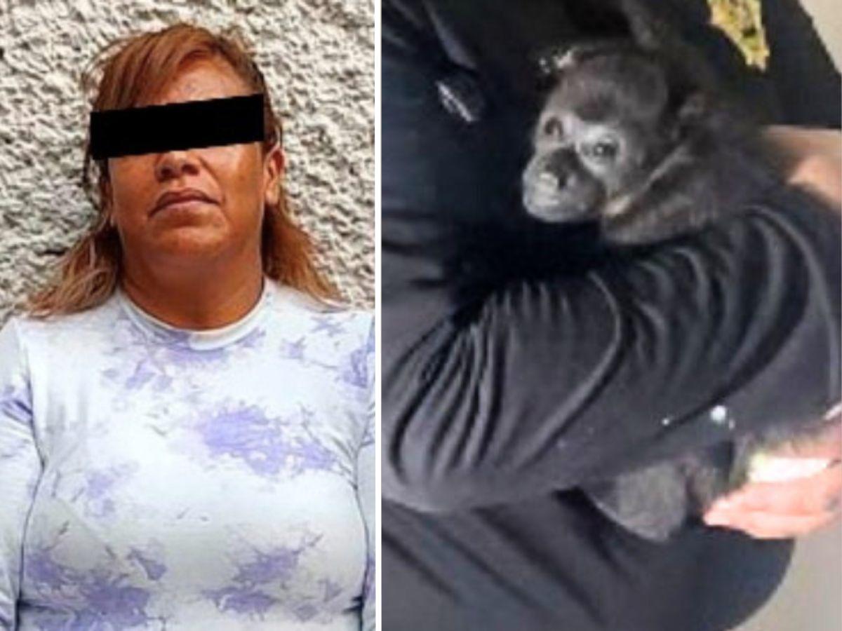 Con un mono aullador y armas cae La Jefa, supuesta líder criminal