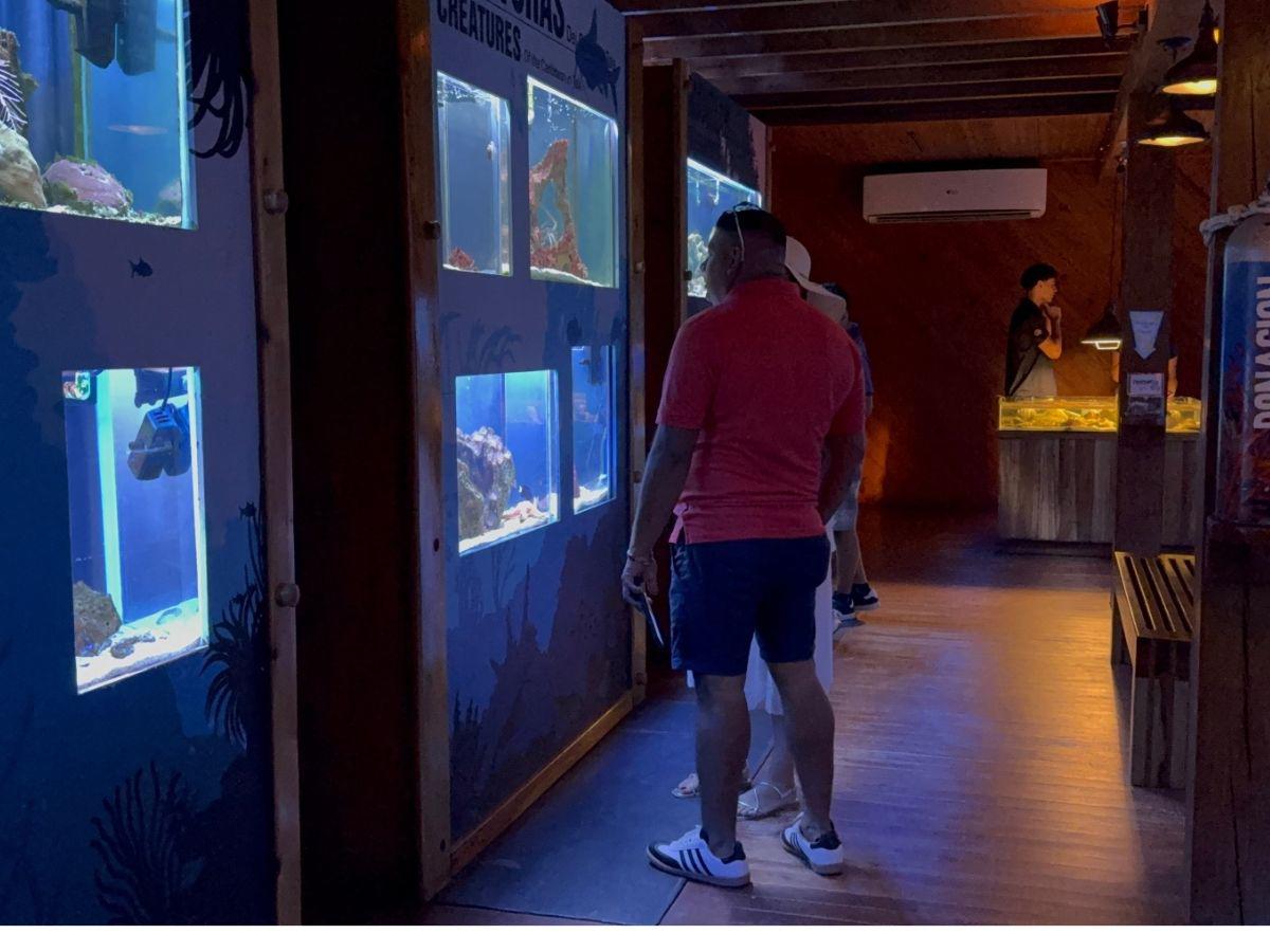 Crece la oferta turística en Tela previo a Semana Santa