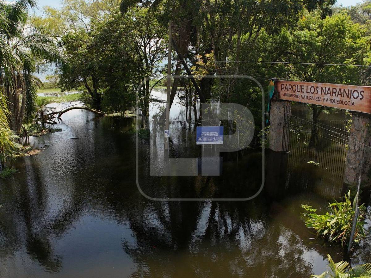 El Lago de Yojoa gana terreno: familias huyen y el agua alcanza zonas turísticas
