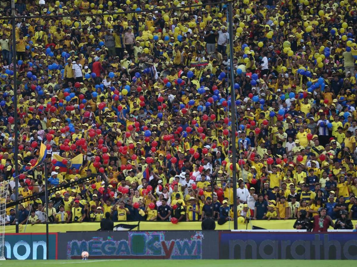 Ancelotti molesto, burla a Vinicius y un heladero en el Ecuador - Brasil