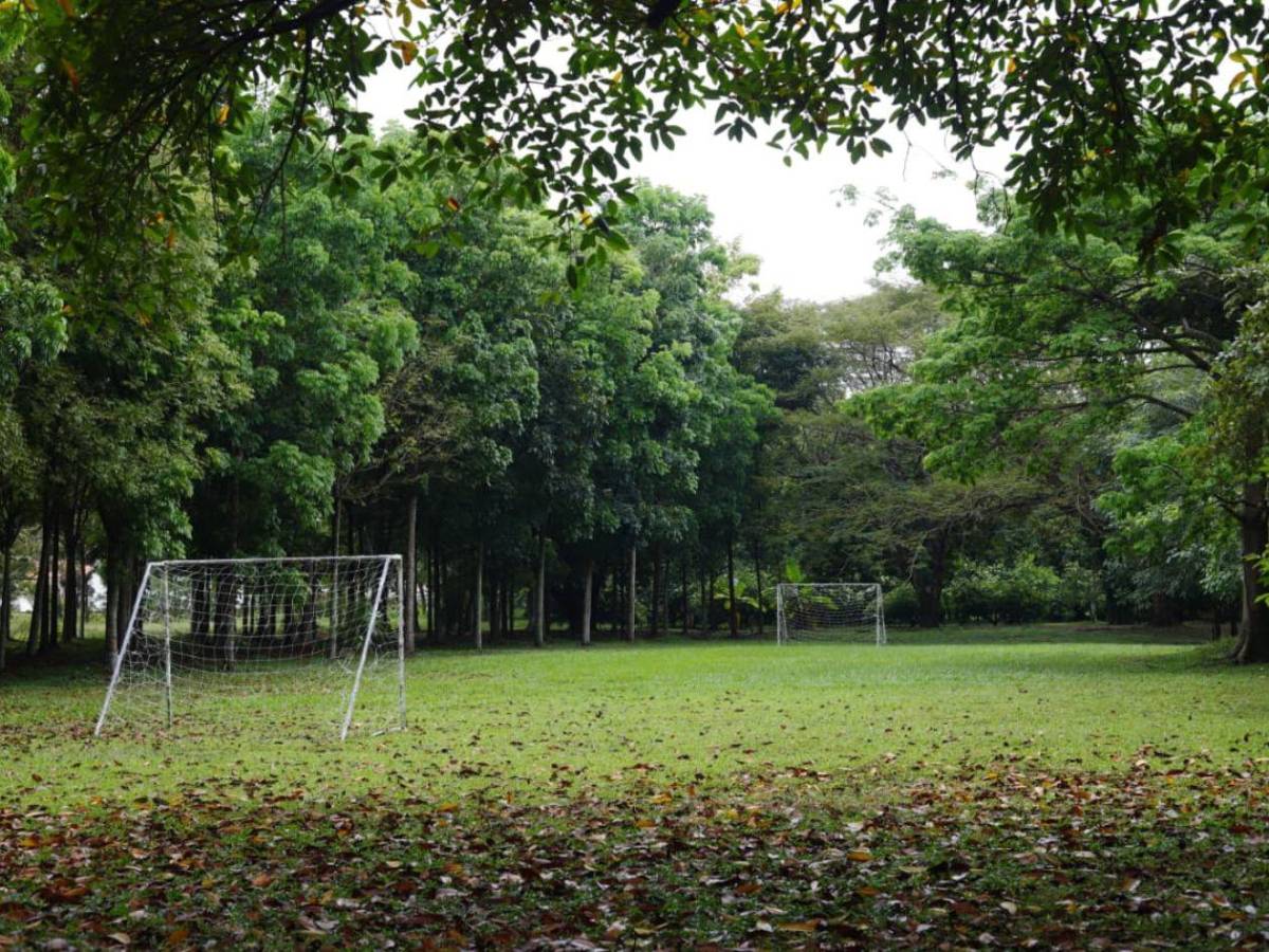 San Pedro Sula tiene su primera Reserva Natural Perpetua