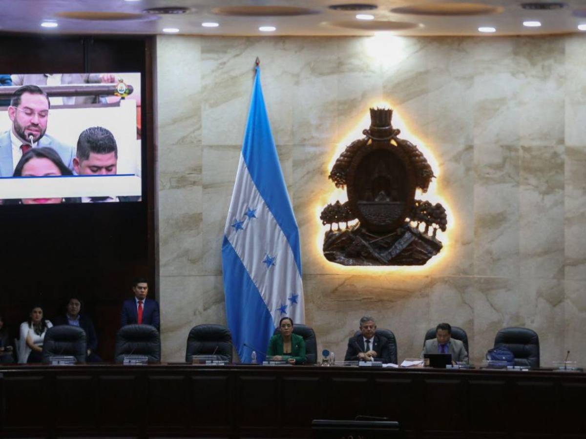 ¿Quién será el jefe de bancada del Partido Libre?