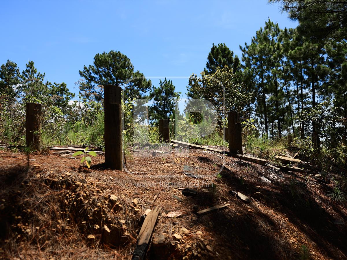 Abandono y deterioro: Así están hoy los bienes de Magdaleno Meza