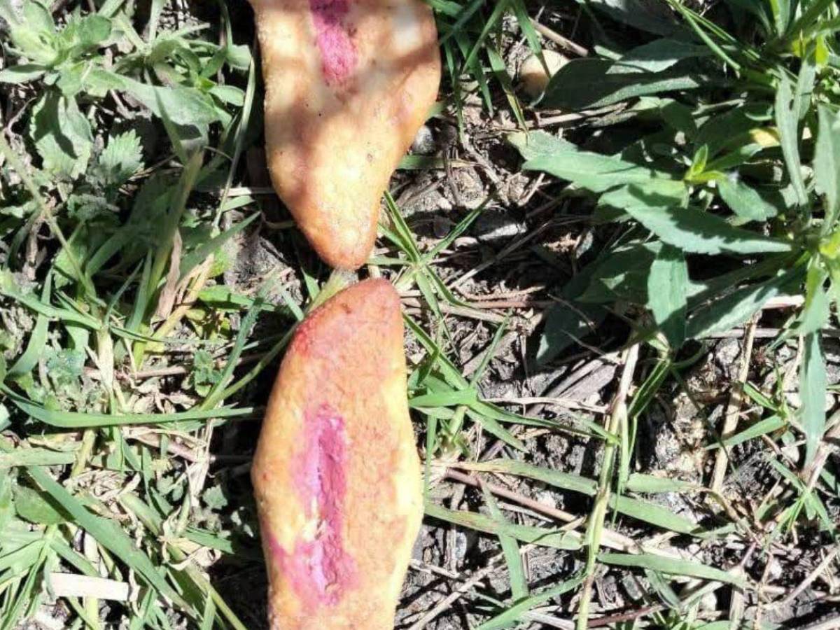 Tres niños mueren por comer pan envenenado para perros