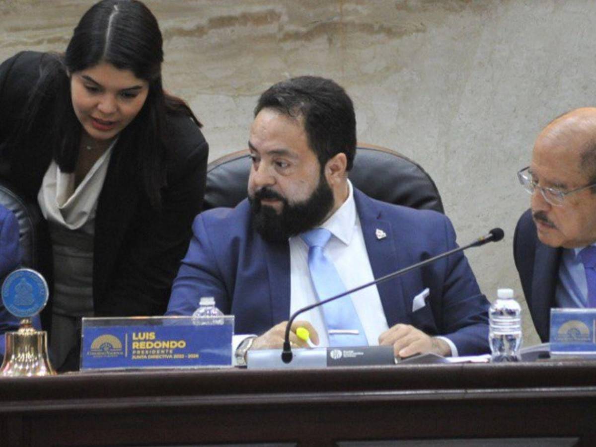 Iroshka Elvir estalla contra Luis Redondo tras sesión del Congreso