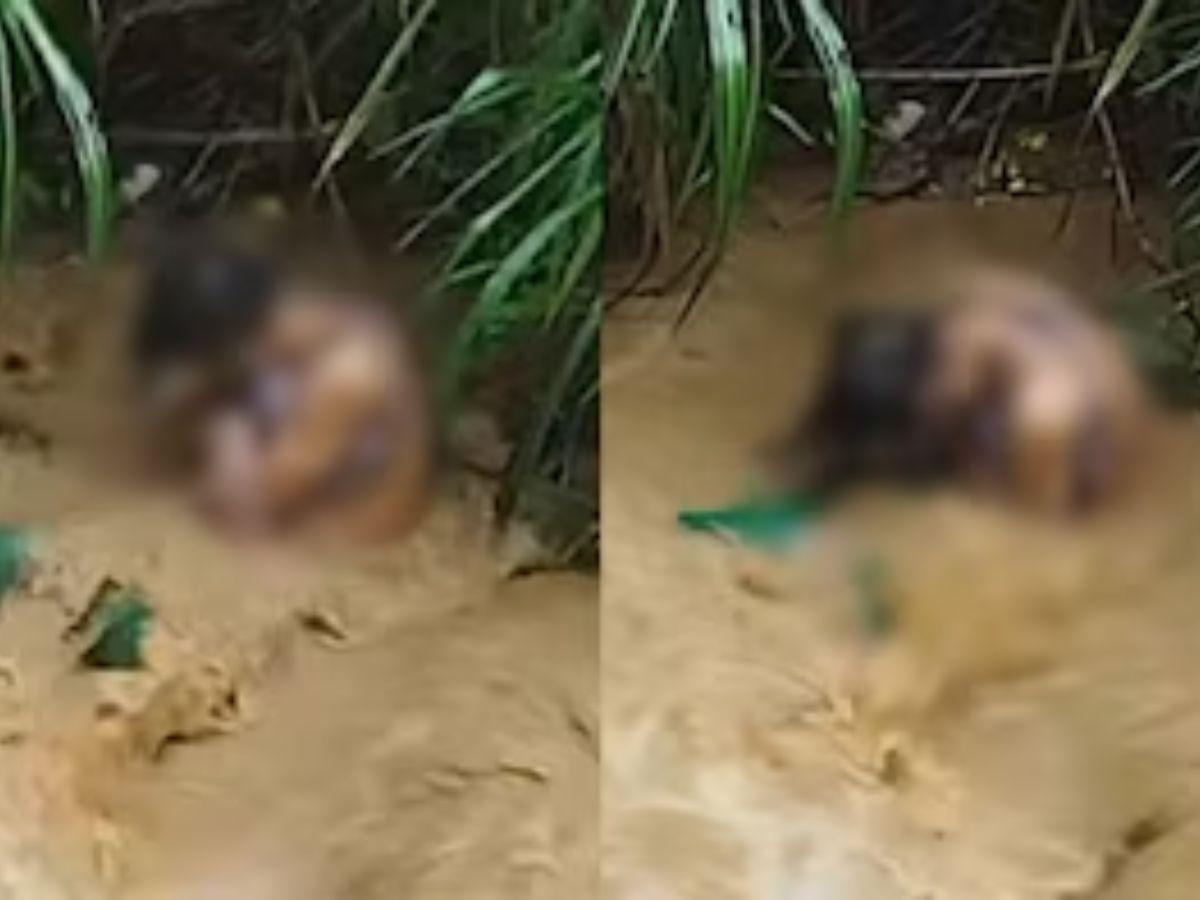 El desgarrador último mensaje de Sara Millerey antes de ser asesinada