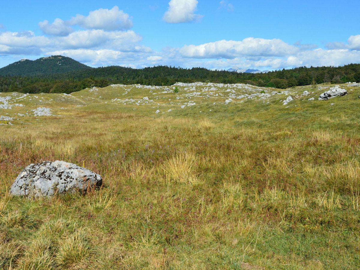 ¿Cómo estará el clima este 14 de diciembre en Honduras?