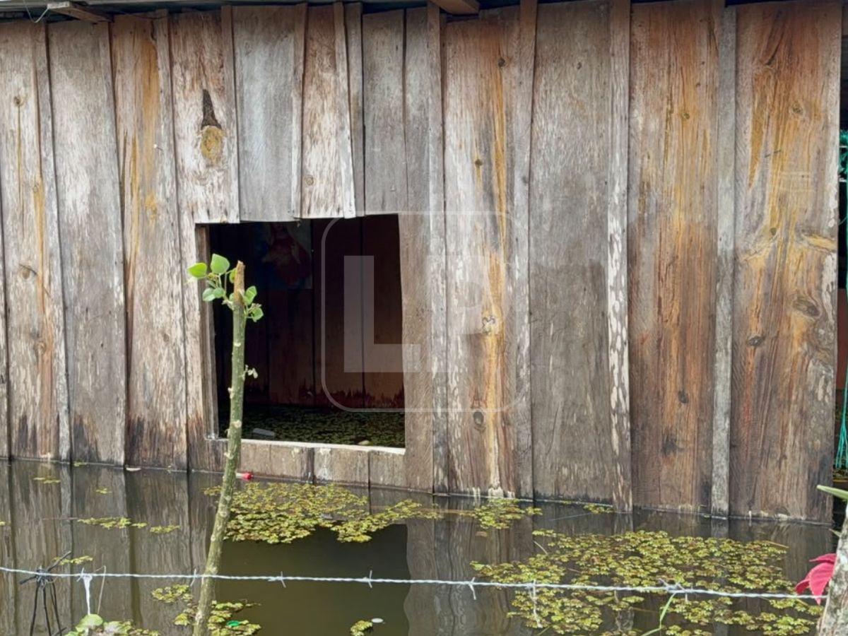 Desbordamiento del Lago de Yojoa deja casas bajo el agua en La Guama