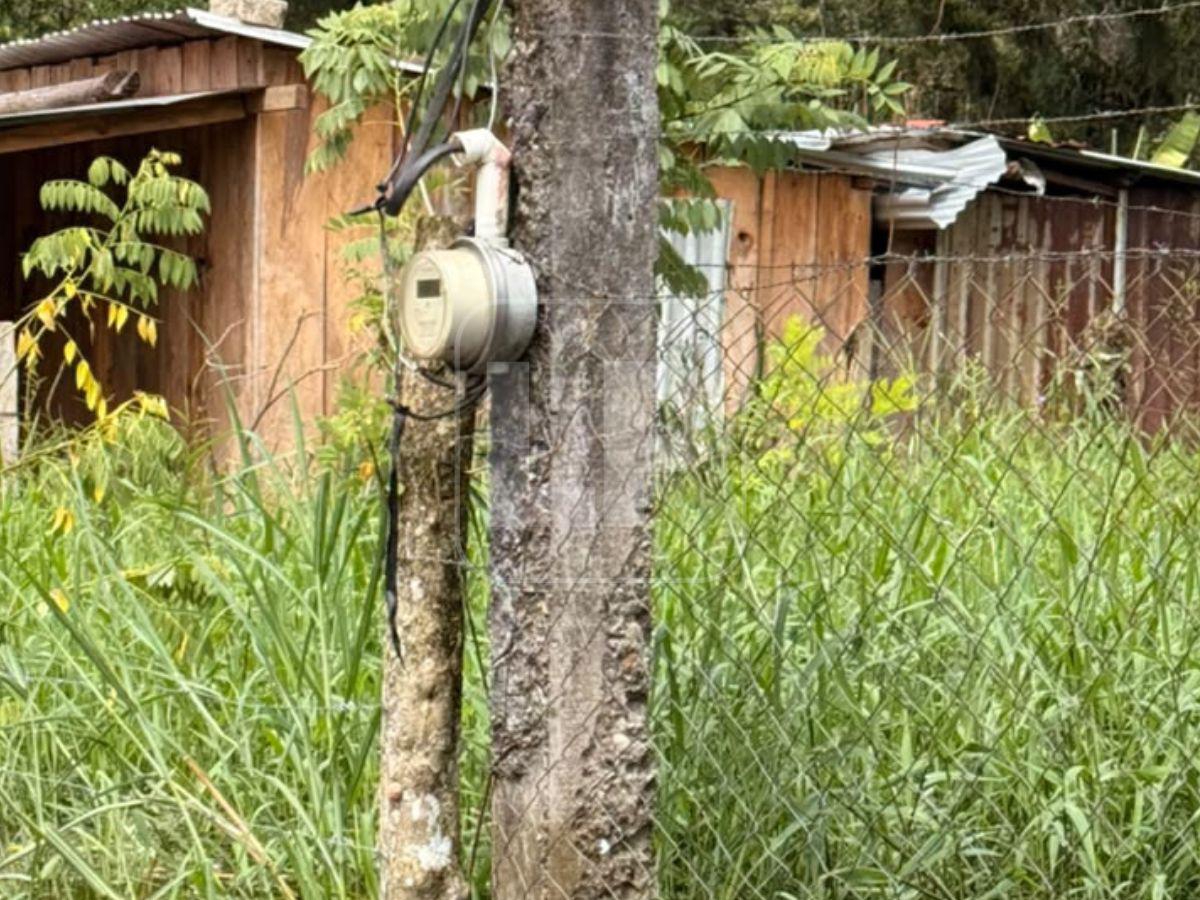 Desbordamiento del Lago de Yojoa deja casas bajo el agua en La Guama