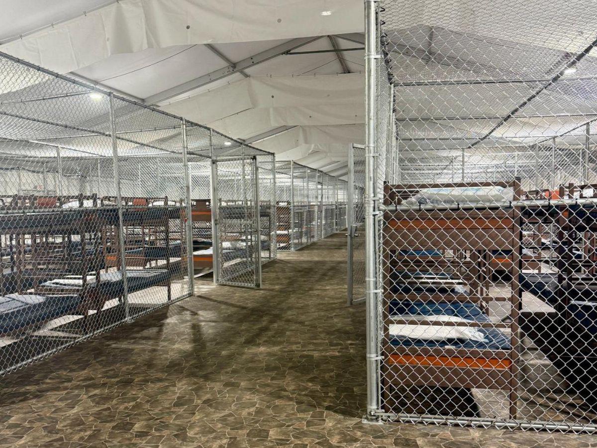 Caimanes, calor y comida podrida: Migrantes describen un infierno en 'Alligator Alcatraz'