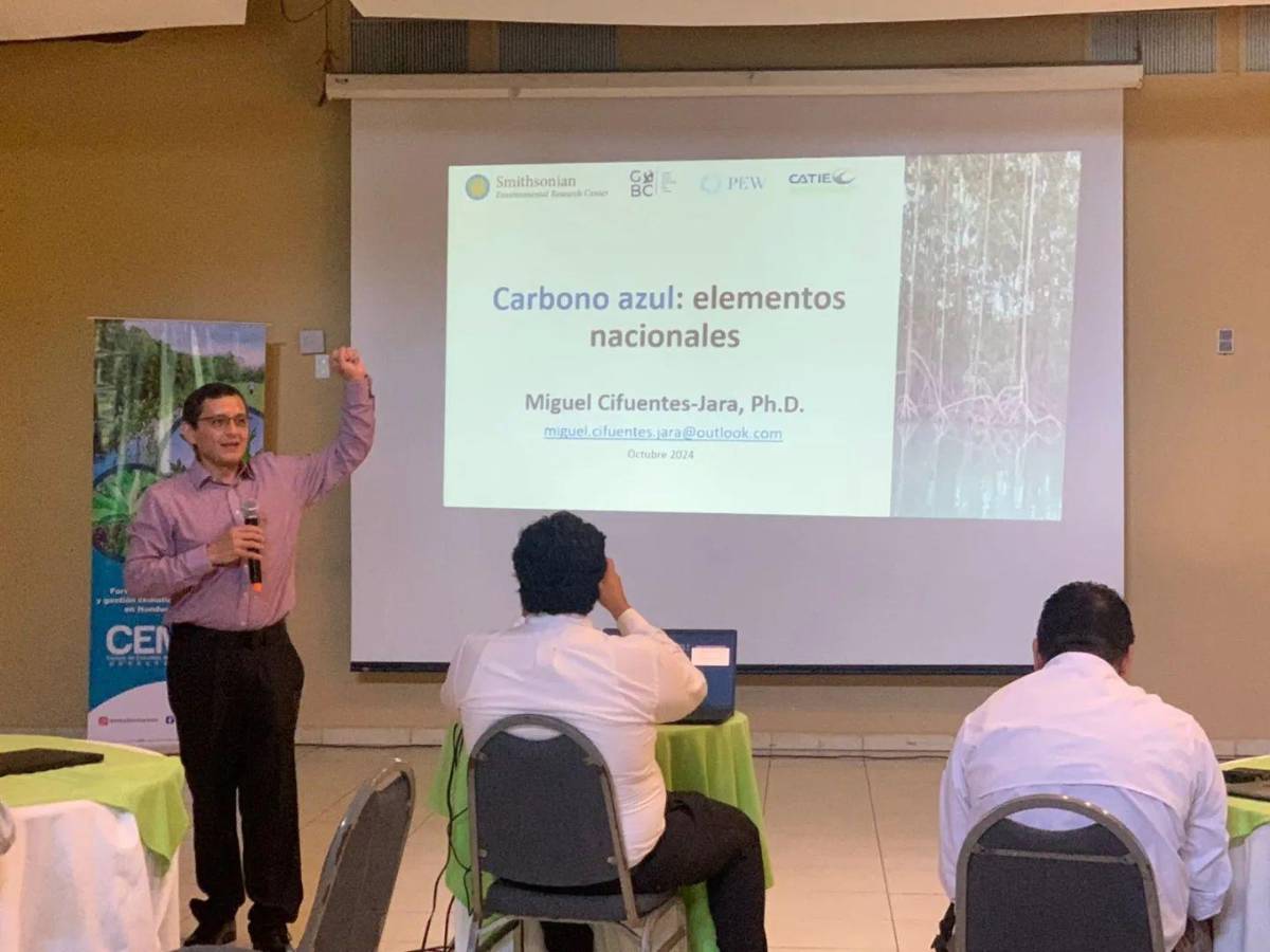 Técnicos investigadores conformaron una Mesa Nacional Monitoreo Biológico para estudiar las reservas de carbono de los manglares y pastos marinos hondureños.