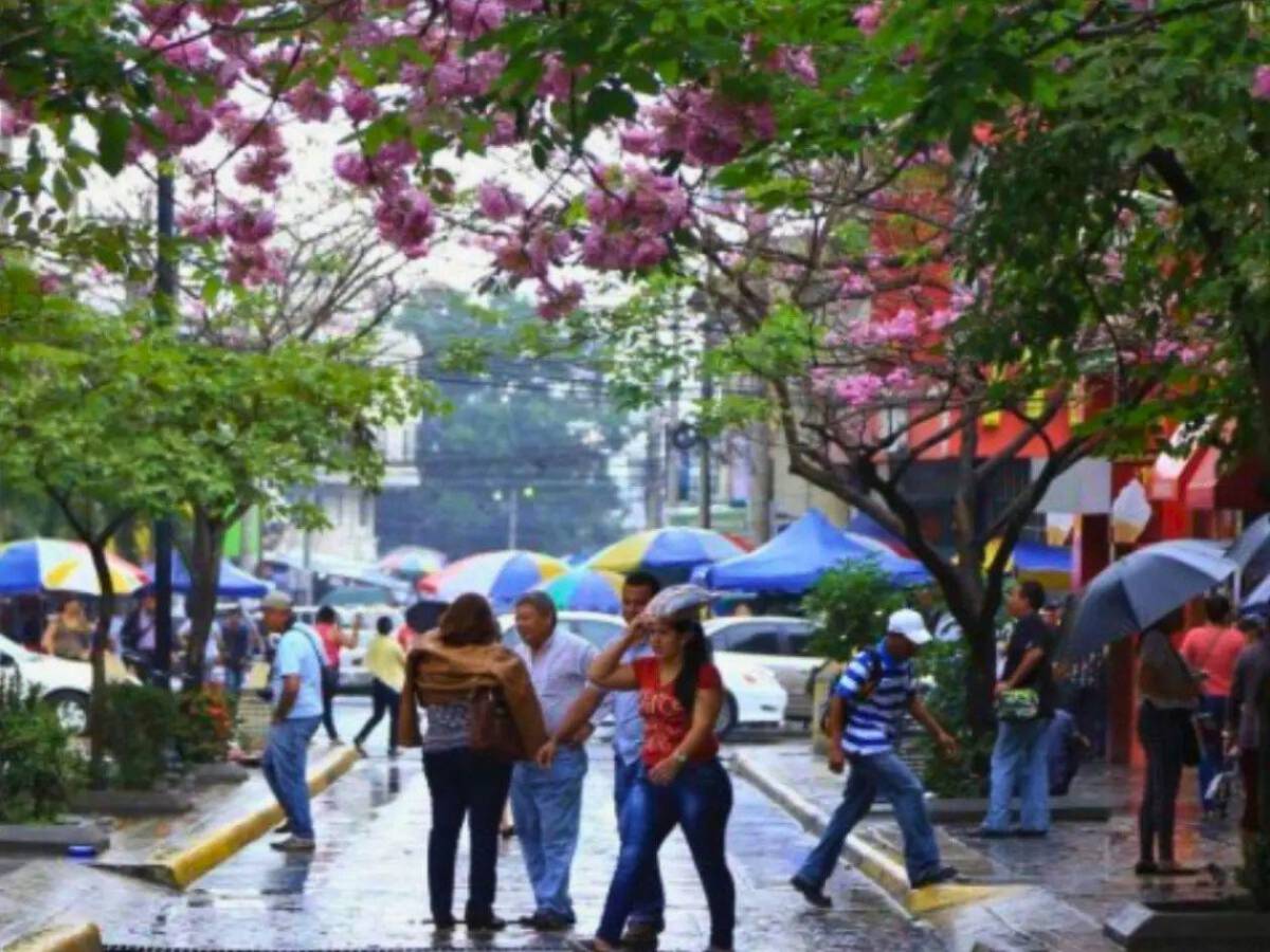 Así estará el clima en San Pedro Sula en los próximos días