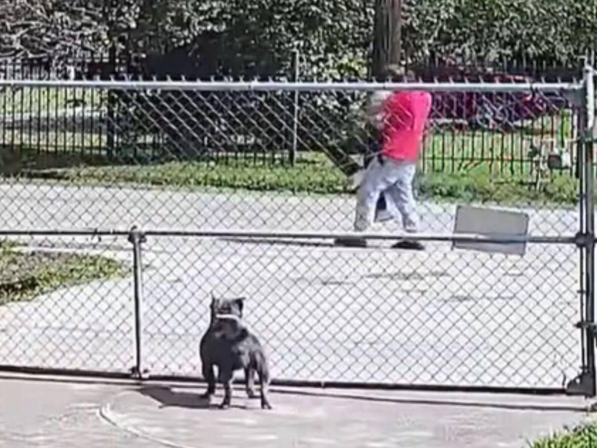 Hondureño en Houston cita a masajista, la secuestra y cae gracias a video de vecino