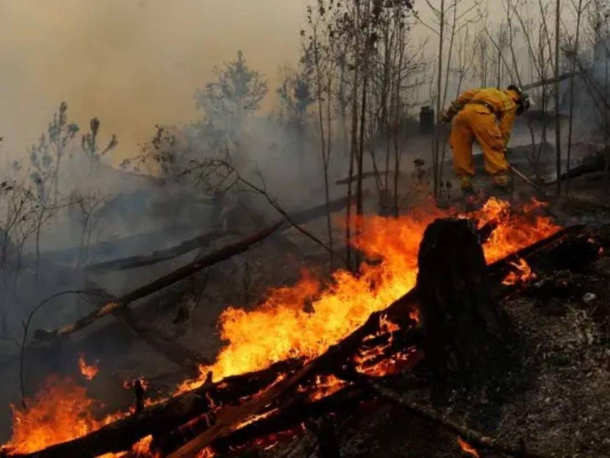 Crisis ambiental: más de 120 incendios afectan a Honduras en lo que va de 2026