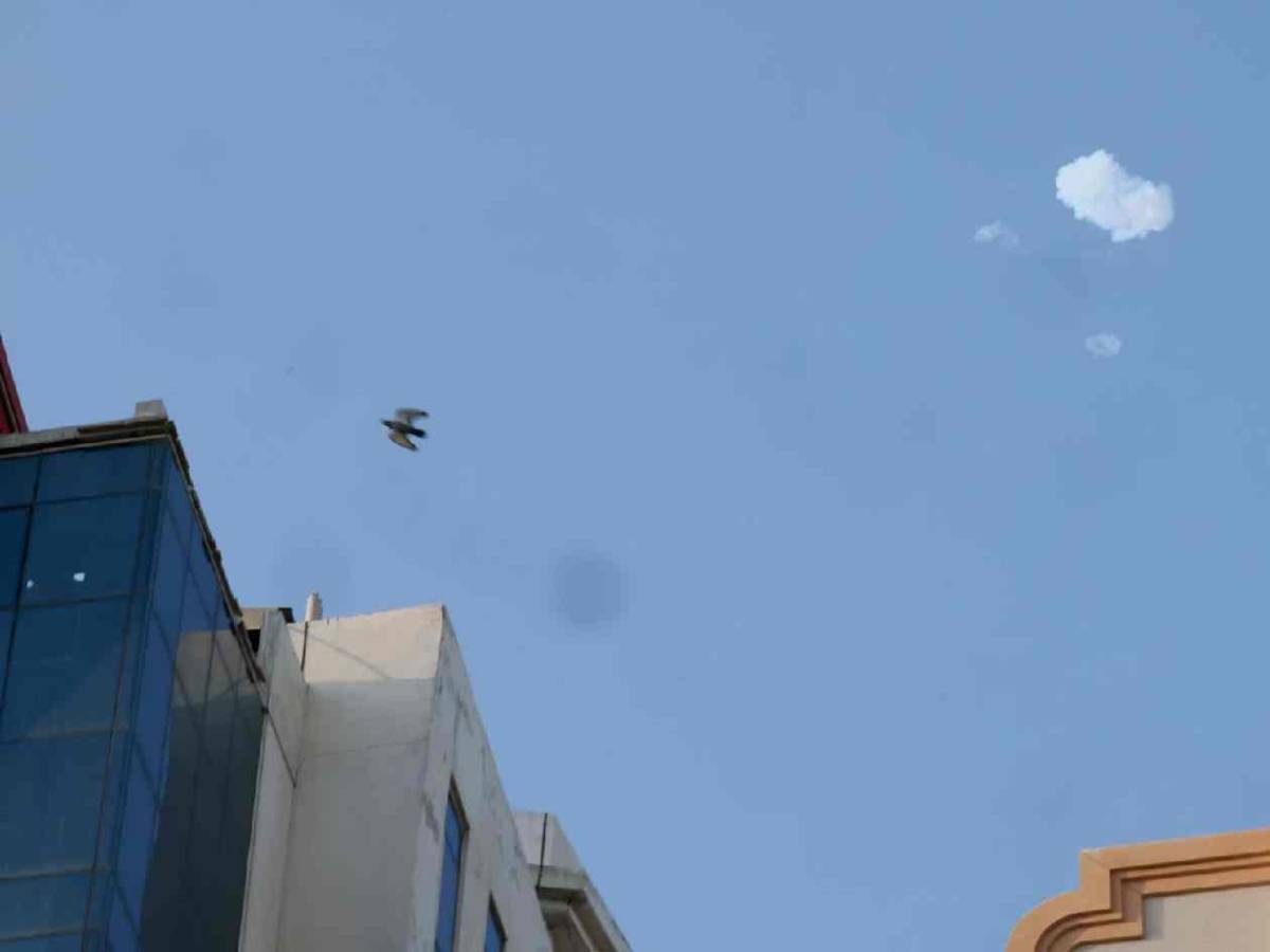 Árbitros de Concacaf quedan varados tras conflicto en Medio Oriente: Asustado