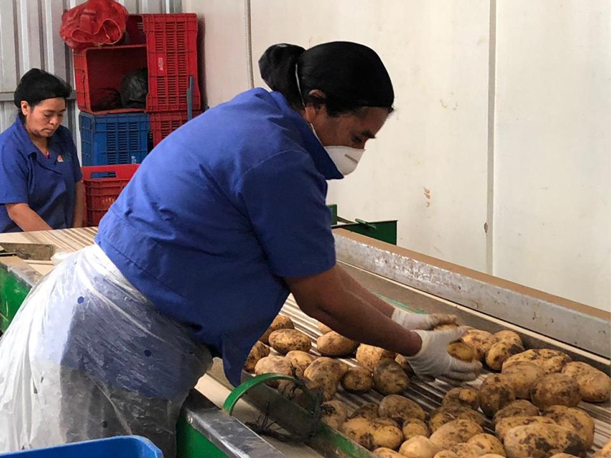 SAG lanza convocatoria a productores para fortalecer el agro en Honduras