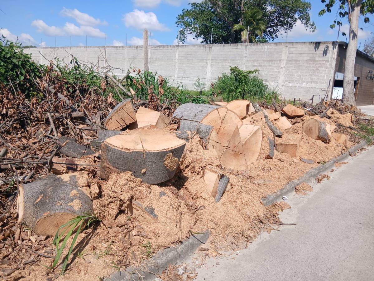 Jardines del Valle también muestra lo que las motosierras de Contreras se llevaron