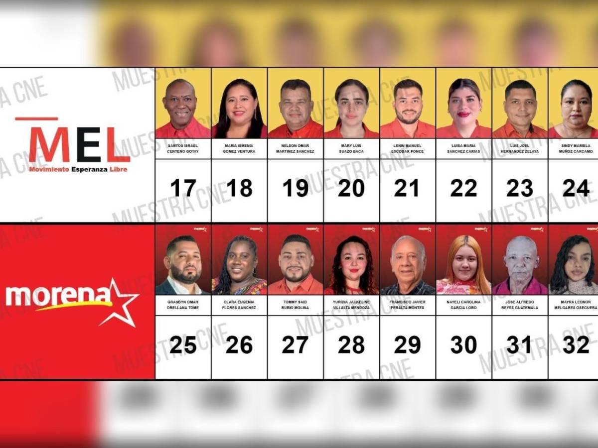 Siete diputados de Atlántida buscan la reelección