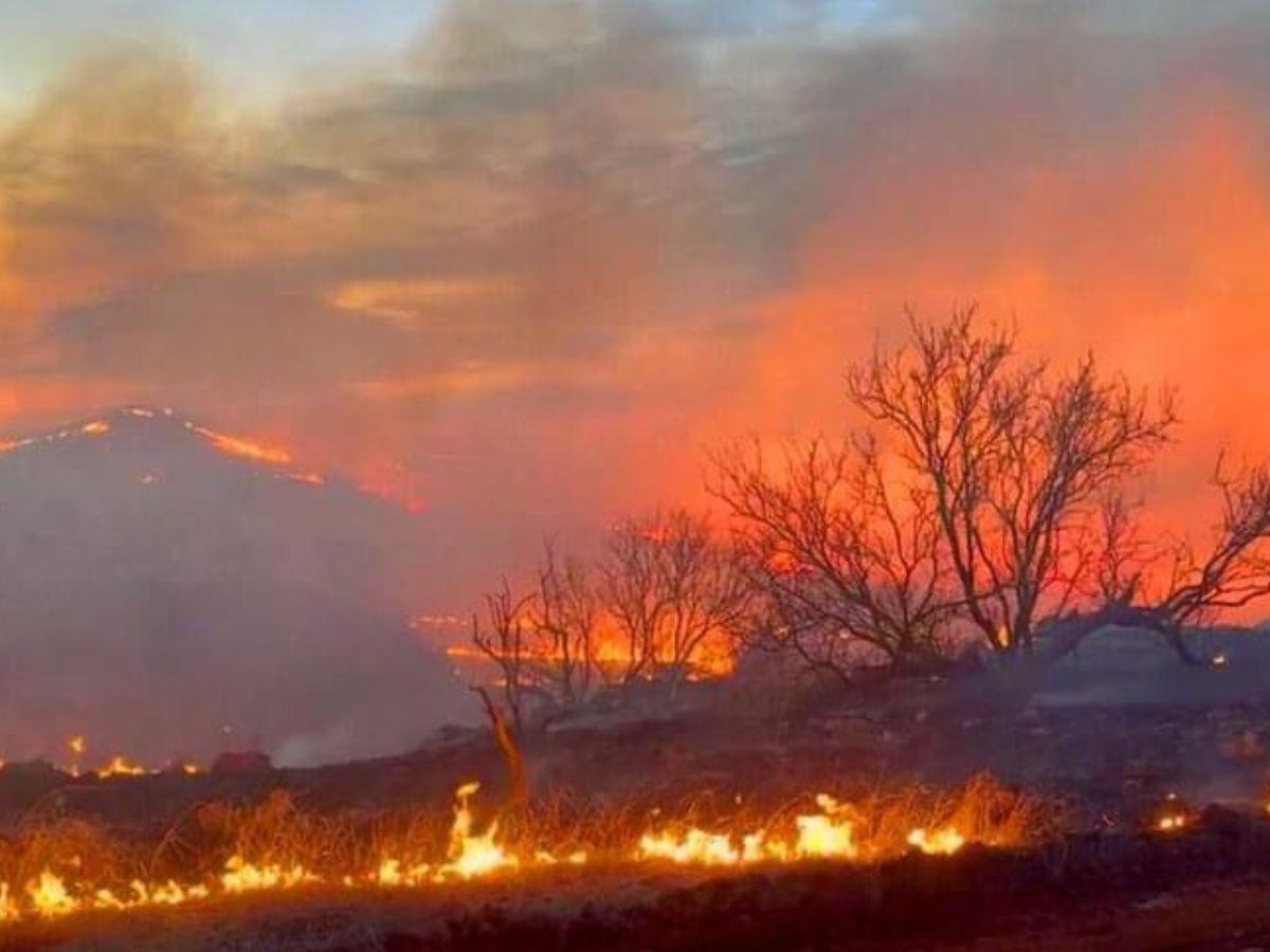 Incendio forestal en Texas hoy 27 de febrero provoca decenas de evacuaciones