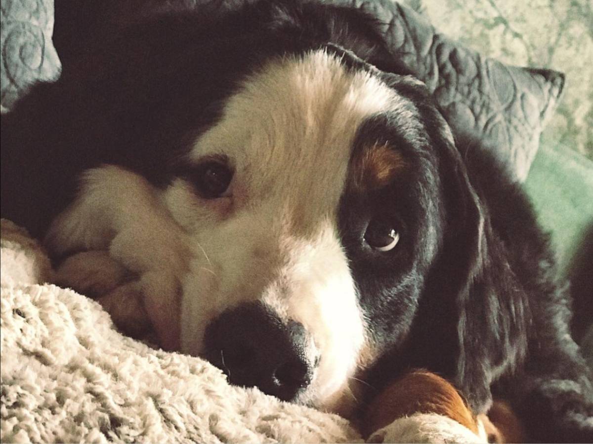 José Ron se despide con el corazón roto de Kiara