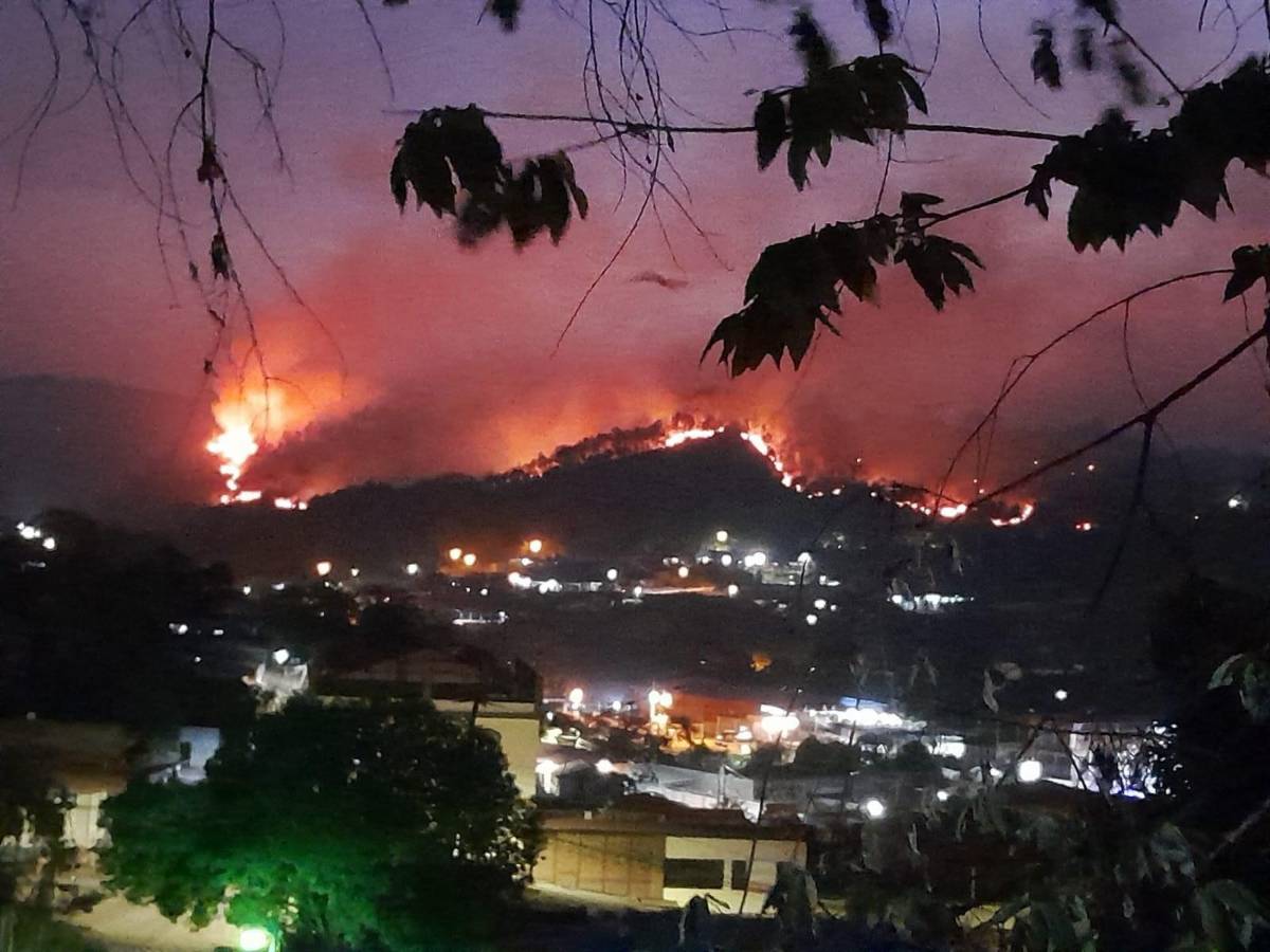 Fuego reduce a cenizas el único pulmón verde de La Entrada, Copán
