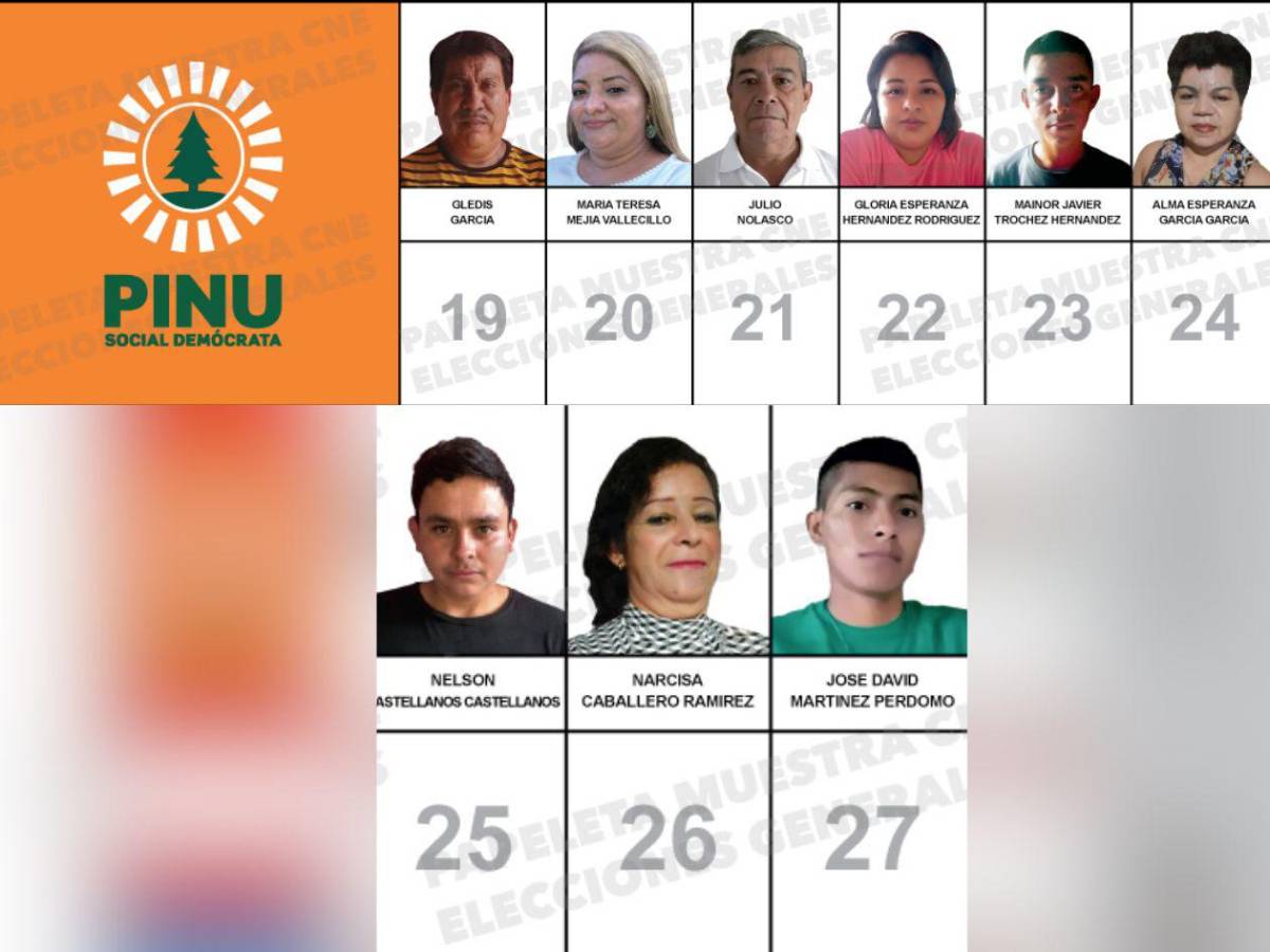 Abogados, docentes y un exárbitro buscan un curul en el Congreso Nacional