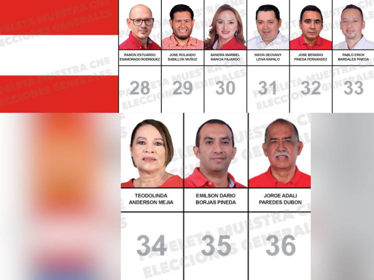 Abogados, docentes y un exárbitro buscan un curul en el Congreso Nacional