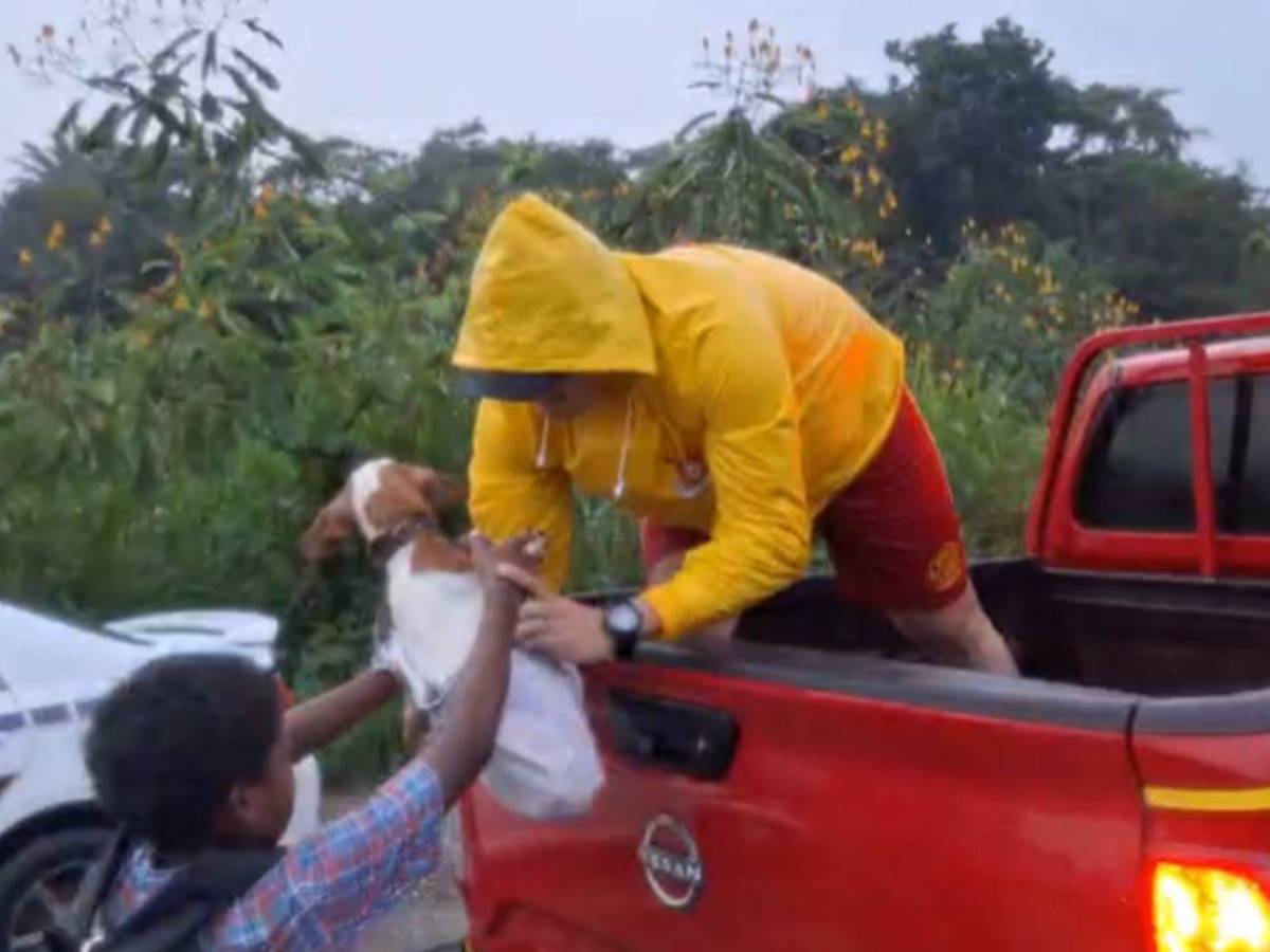Calles convertidas en ríos y familias evacuadas tras intensas lluvias