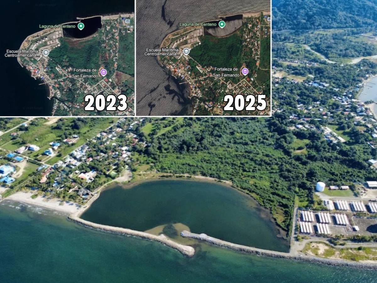 Regresa a la vida la laguna de Centeno con 37,000 mangles en Omoa