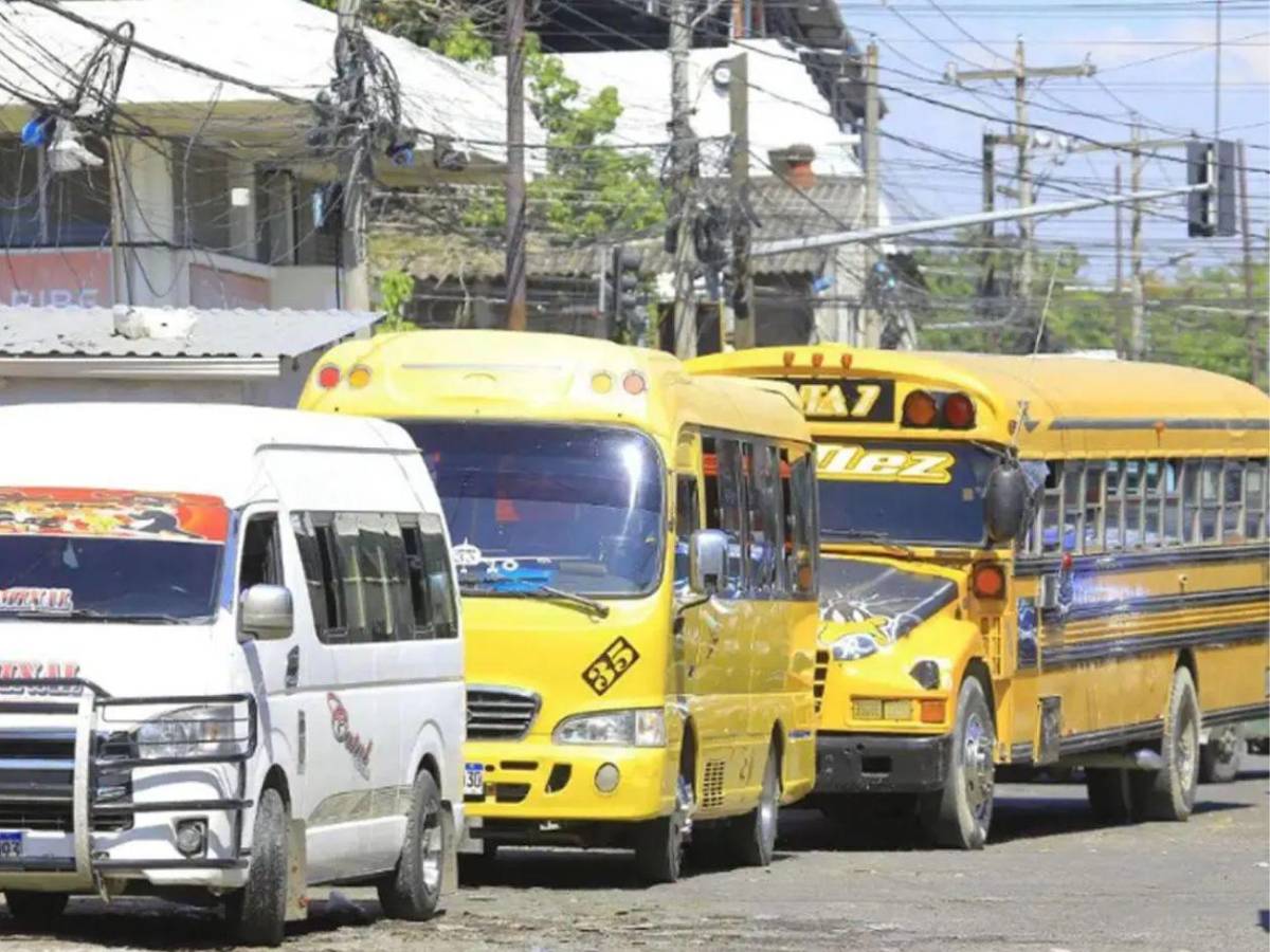 Con las manos atadas: hallan sin vida a un joven en la aldea Mateo del Distrito Central