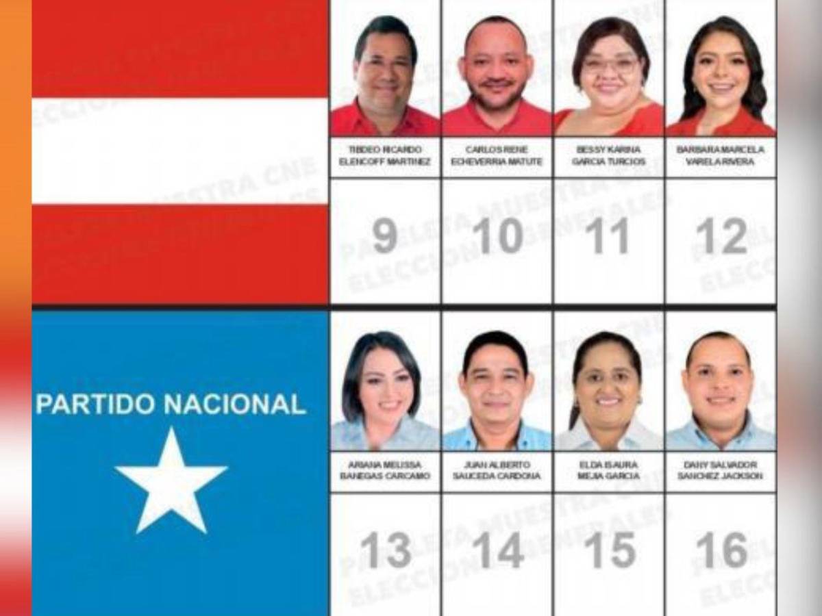 Dos diputados de Libre y un liberal buscan mantener su curul en Colón