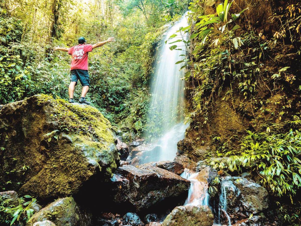 De bosques nublados a playas vírgenes: así de bellos son estos cinco parques nacionales
