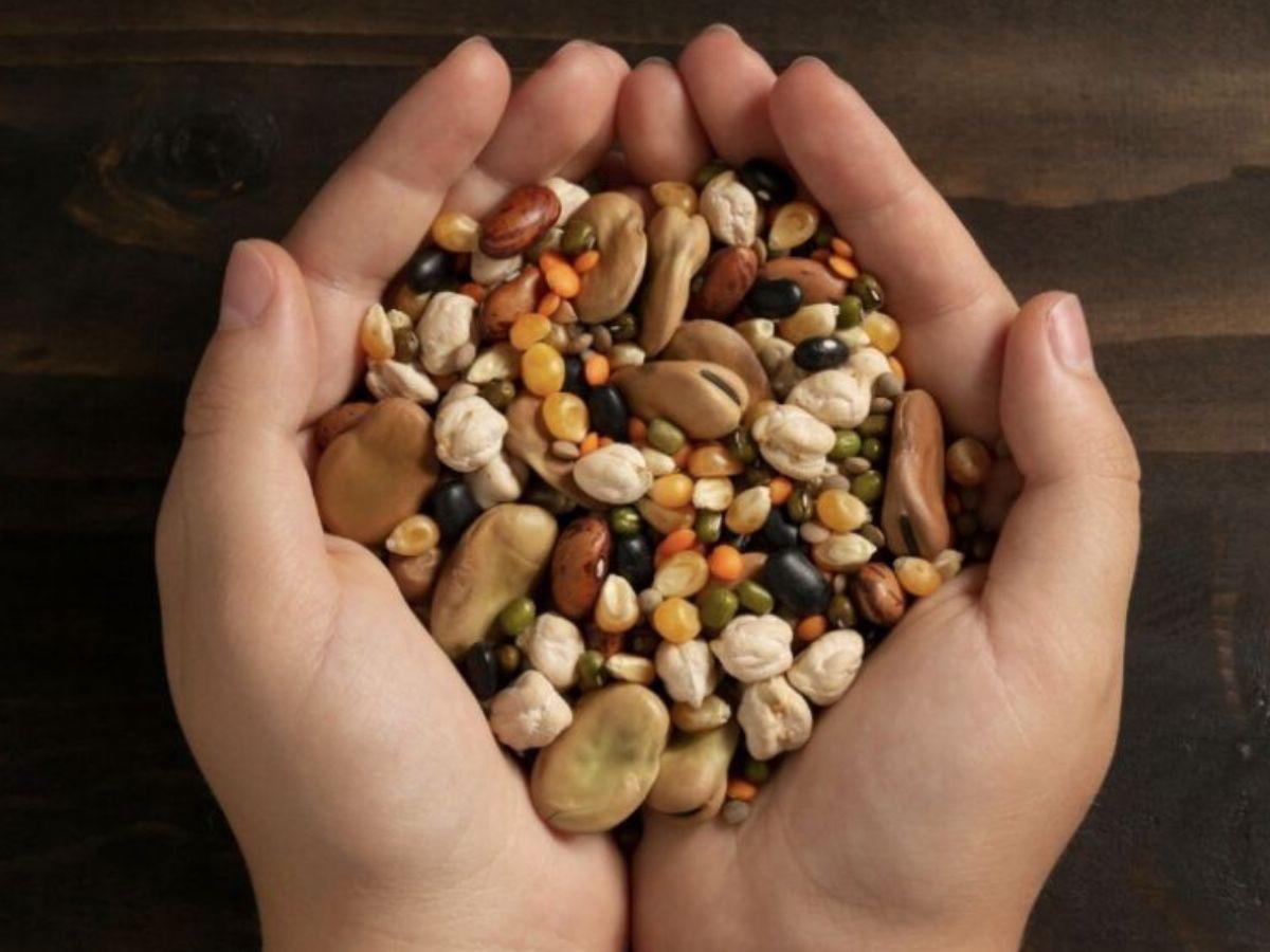 Siete tips de Mhoni Vidente para atraer riqueza, amor y salud en 2026