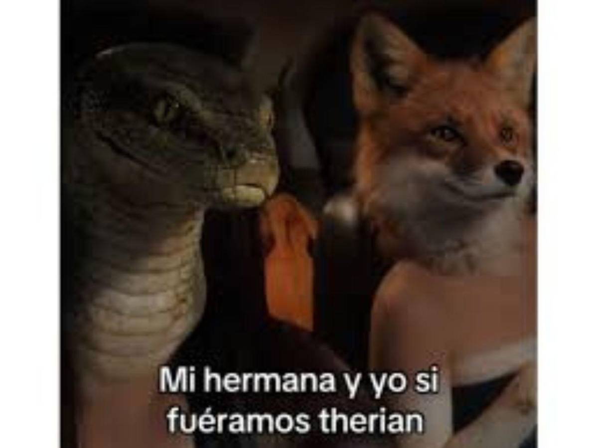 Modo animal activado: los memes más divertidos de los therians
