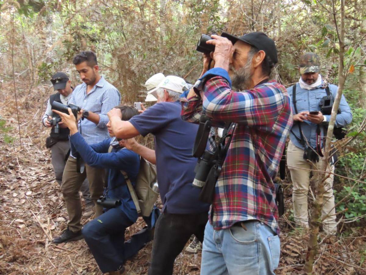 Honduras protege su tesoro natural: impulsa plan para salvar su biodiversidad